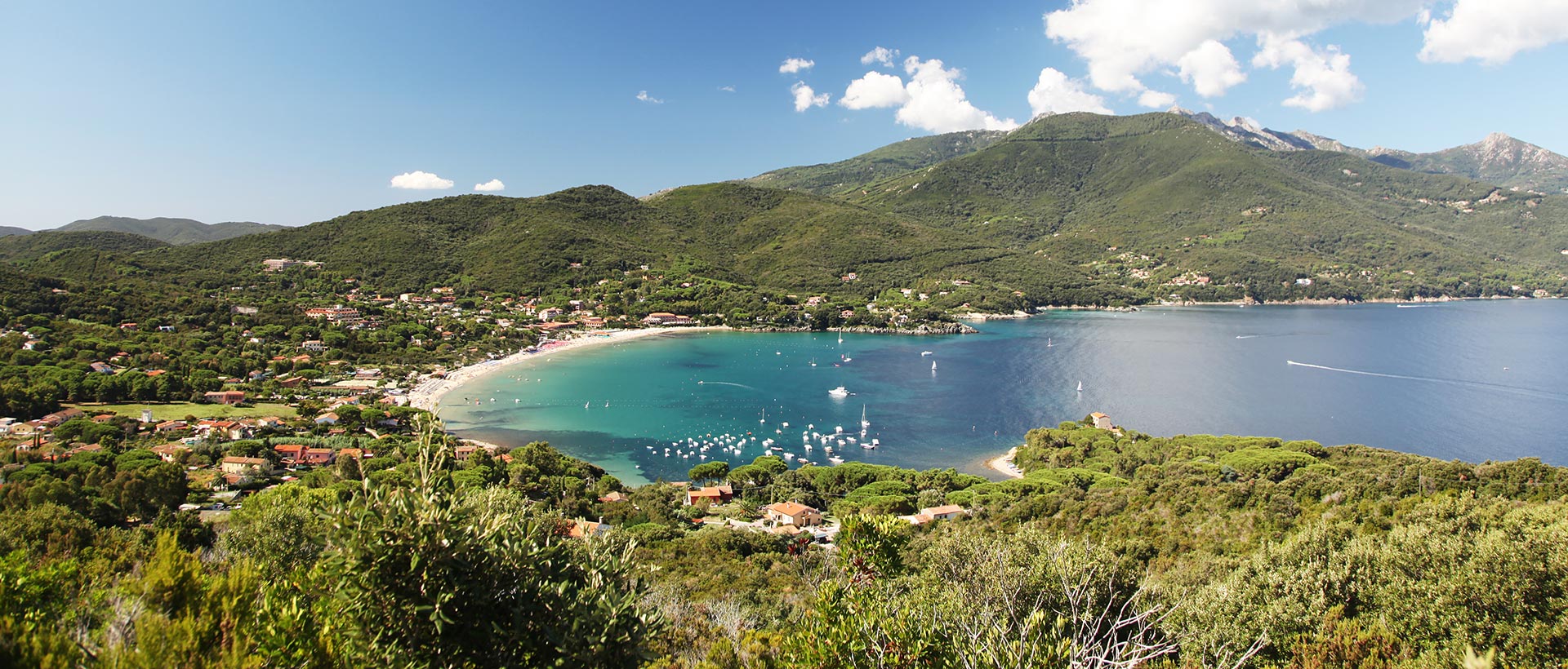 Procchio Isola d’Elba Procchio Isola d'Elba